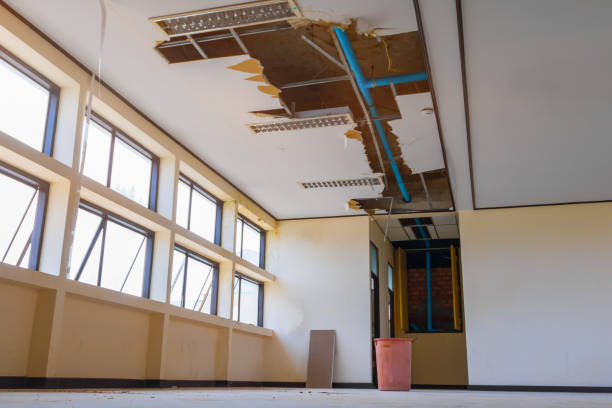 Best Water damage restoration near me  in Old Orchard, PA