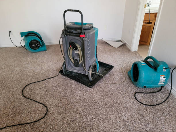 Best Water damage cleanup near me  in Old Orchard, PA