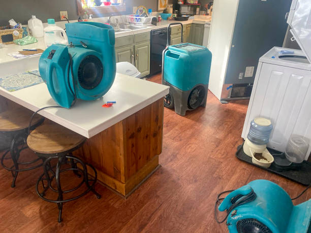 Water damage restoration experts in PA
